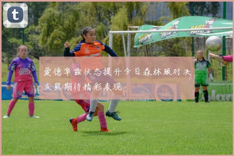 爱德华兹状态提升今日森林狼对决灰熊期待精彩表现