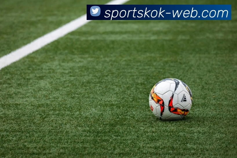 KOK体育平台生态图